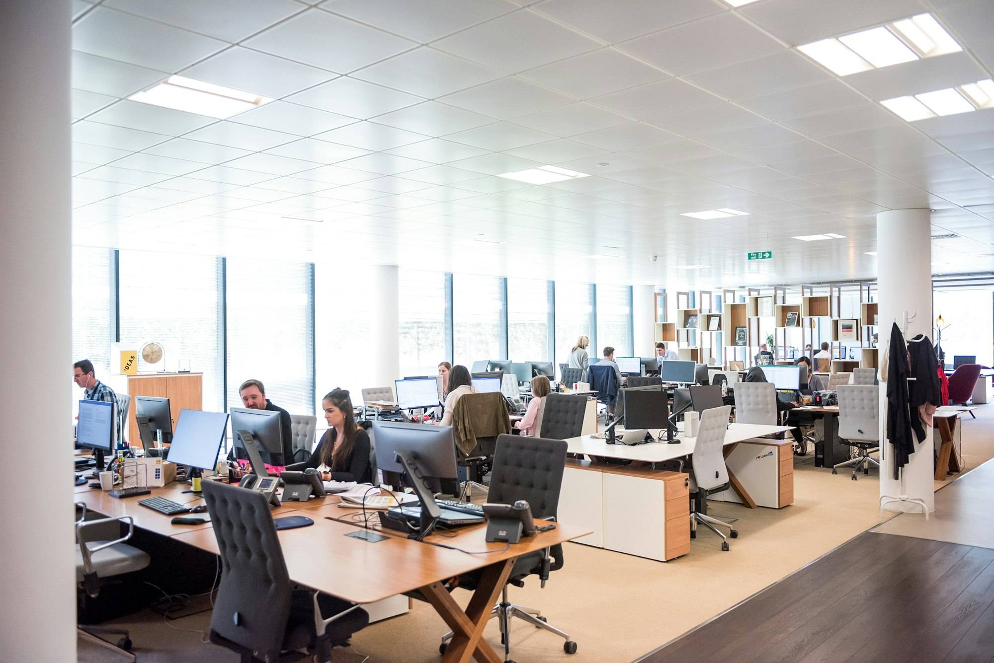 People working at desks in an open-plan office